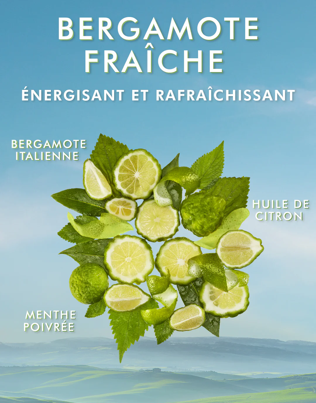 Body Lotion Bergamote Fraîche - Image 5