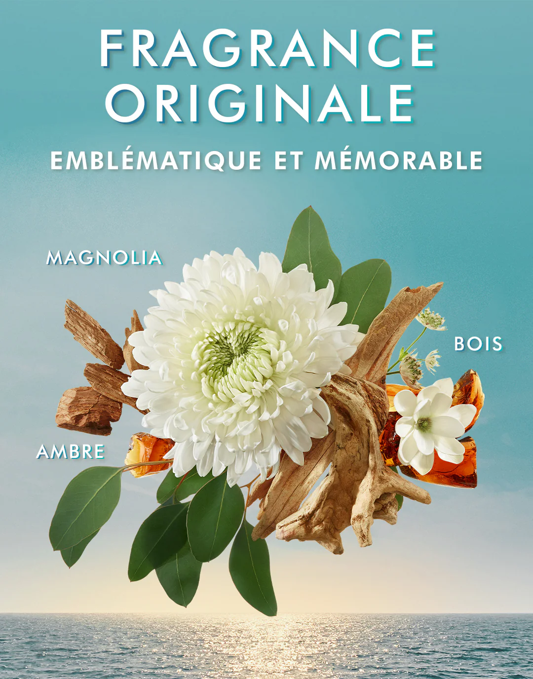 Body Lotion Fragrance Originale - Image 8