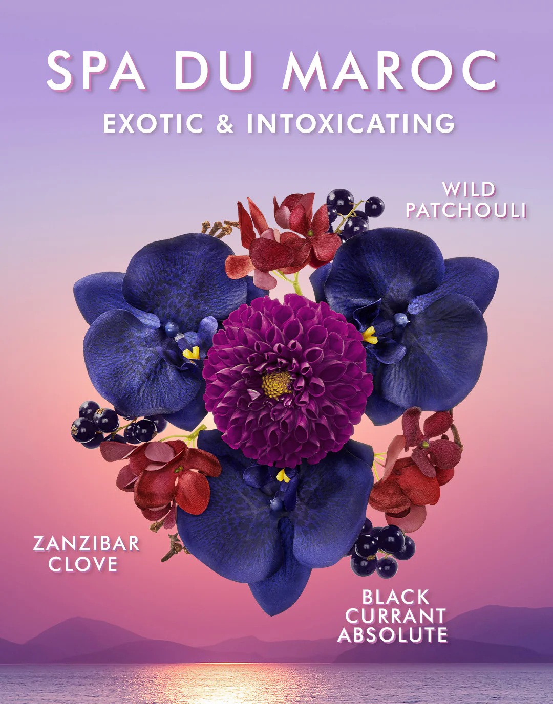 Body Lotion Spa Du Maroc - Image 4